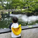苏州旅游 缩略图 7