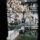 扬州旅游 缩略图 4