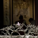 扬州旅游 缩略图 13