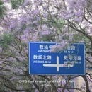 昆明旅游 缩略图 4