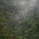 南平旅游 缩略图 10