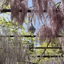 北京旅游 缩略图 8
