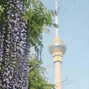 北京旅游 缩略图 1