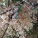 厦门旅游 缩略图 6