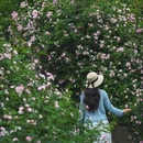 南京旅游 缩略图 13