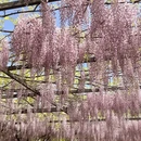 北京旅游 缩略图 6