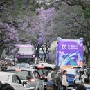 昆明旅游 缩略图 8