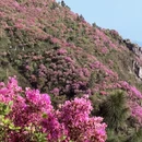 宁波旅游 缩略图 9