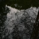 上海旅游 缩略图 4
