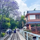 昆明旅游 缩略图 15
