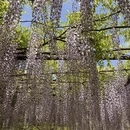 北京旅游 缩略图 4