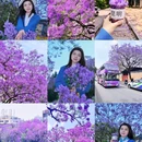 昆明旅游 缩略图 1