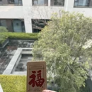 扬州旅游 缩略图 2