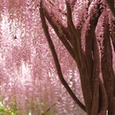 北京旅游 缩略图 4