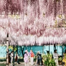 北京旅游 缩略图 9