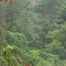 南平旅游 缩略图 11
