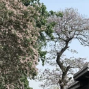 常州旅游 缩略图 11