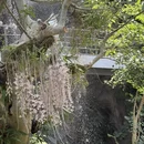 上海旅游 缩略图 7