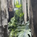 上海旅游 缩略图 11