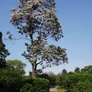 南京旅游 缩略图 5