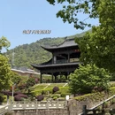 宁波旅游 缩略图 4