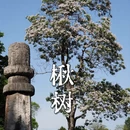 南京旅游 缩略图 1