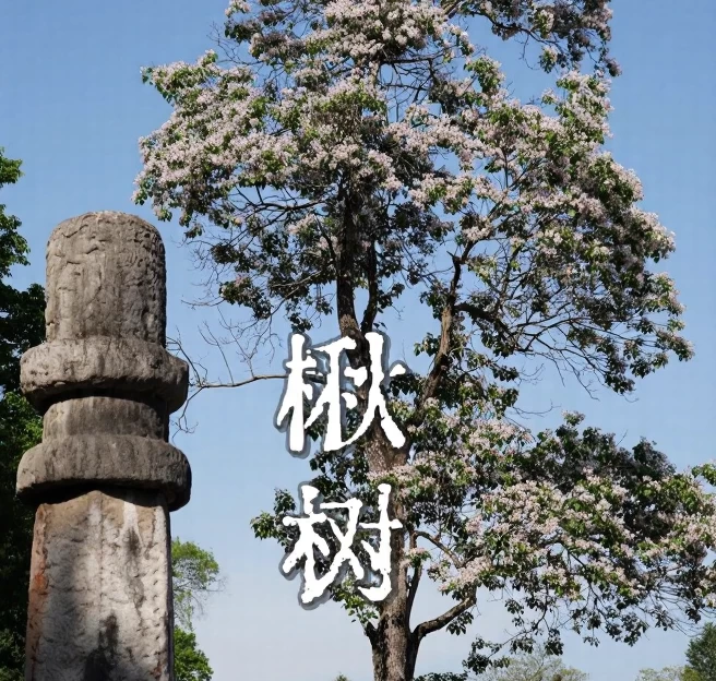 南京旅游 1