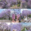 昆明旅游 缩略图 1