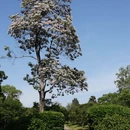 南京旅游 缩略图 8