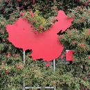 郑州旅游 缩略图 9
