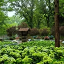 中山旅游 缩略图 15
