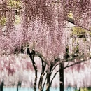 北京旅游 缩略图 2