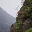 杭州旅游 缩略图 2