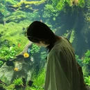 上海旅游 缩略图 2