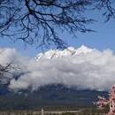 林芝旅游 缩略图 2