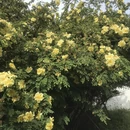 北京旅游 缩略图 2