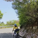 杭州旅游 缩略图 4