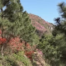 宁波旅游 缩略图 5