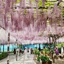 北京旅游 缩略图 4