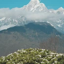 甘孜旅游 缩略图 11