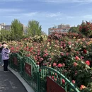 郑州旅游 缩略图 6