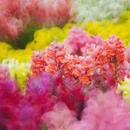 上海旅游 缩略图 8