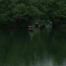 杭州旅游 缩略图 1