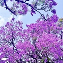 昆明旅游 缩略图 5