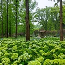 中山旅游 缩略图 16