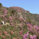 宁波旅游 缩略图 12