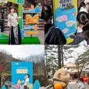 黄山旅游 缩略图 11