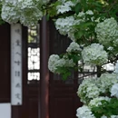 苏州旅游 缩略图 8