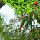 苏州旅游 缩略图 9