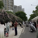 武汉旅游 缩略图 18